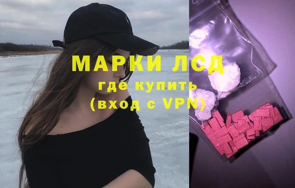 индика Грязи