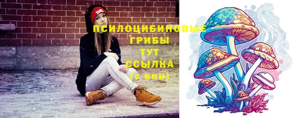 Альфа ПВП Абаза