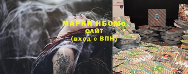 индика Грязи