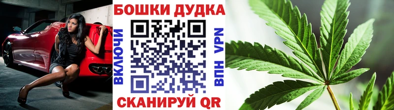Шишки марихуана планчик  Каменка 